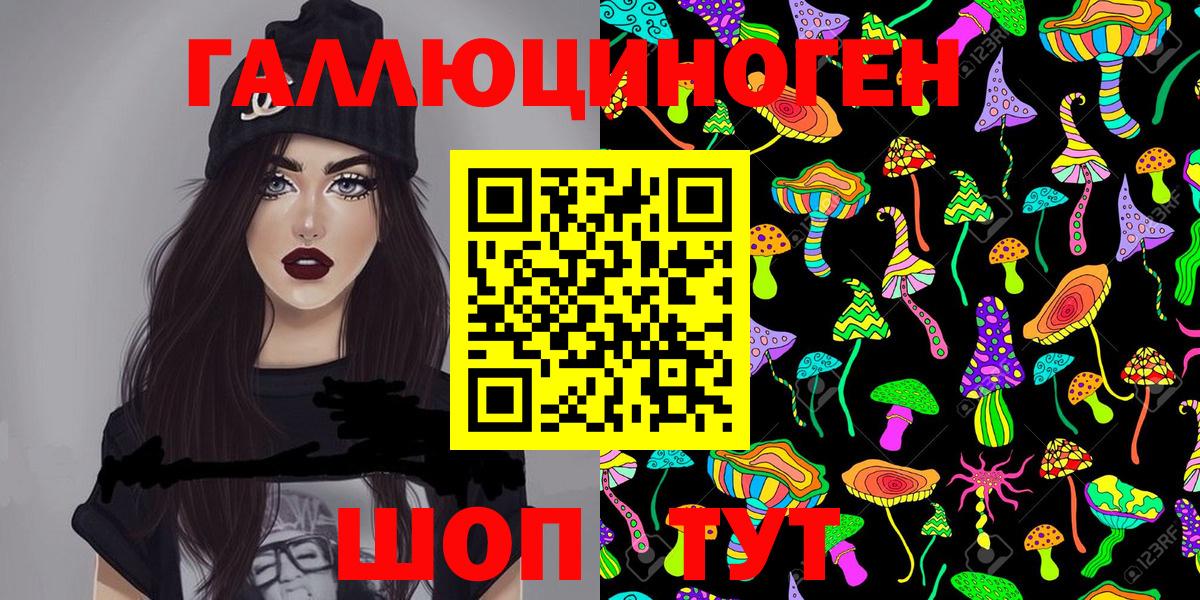 Галлюциногенные грибы Psilocybe Похвистнево