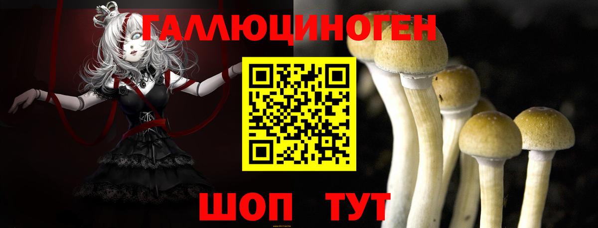 Похвистнево  цены наркотик  Галлюциногенные грибы Cubensis  Вход с VPN  Галлюциногенные грибы Magic Shrooms 